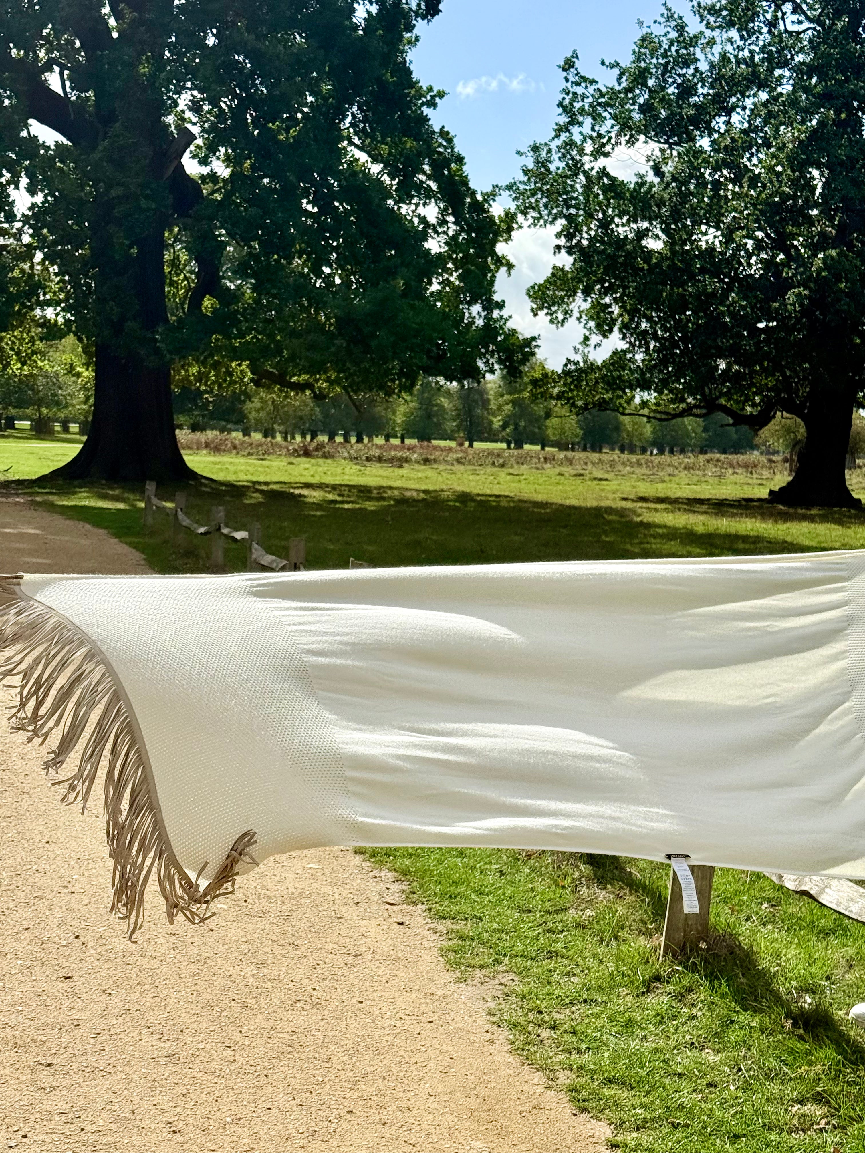 Kensington Cashmere Fringe Shawl